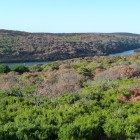 P1050166