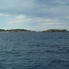 P1050409