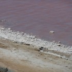 Ufer der Hutt Lagoon