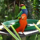 P1050767