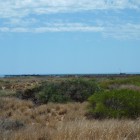 P1050945
