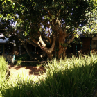 2014-12-16_163015