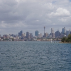 IMGP3726