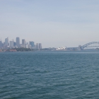 IMGP3882