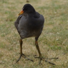 IMGP4589