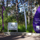 IMGP6067