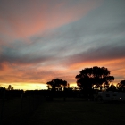 IMG_20141128_202511
