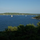 IMGP1275