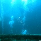 Die Thistlegorm atmet